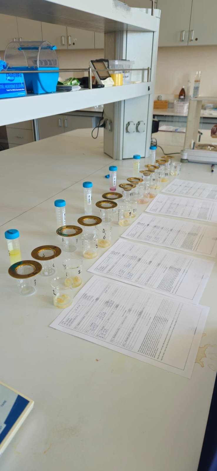 adsorpsiyon deneyleri.jpg